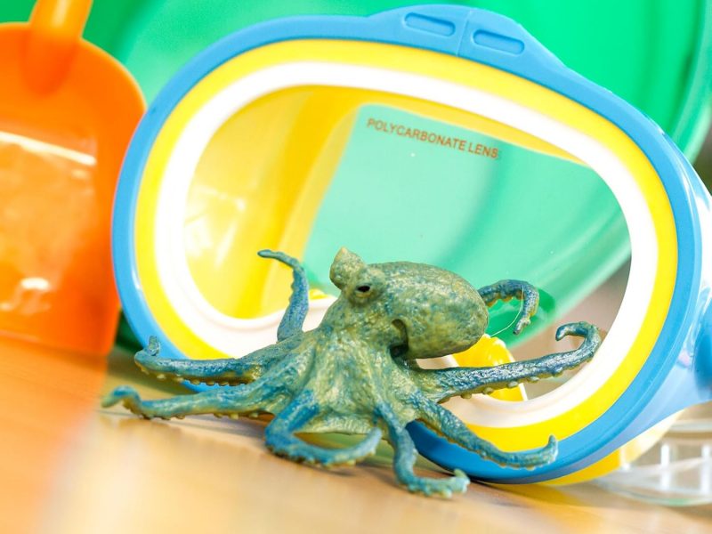 Octopus Toy