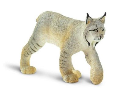 Lynx Toy