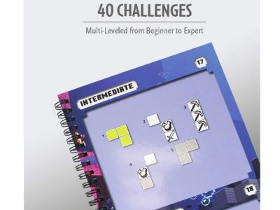 Minecraft Magnetic Travel Puzzle