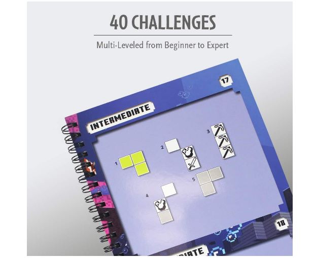 Minecraft Magnetic Travel Puzzle