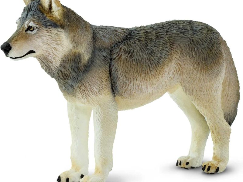 Safari Ltd. Gray Wolf Figurine