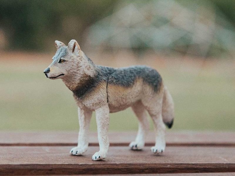 Safari Ltd. Gray Wolf Figurine
